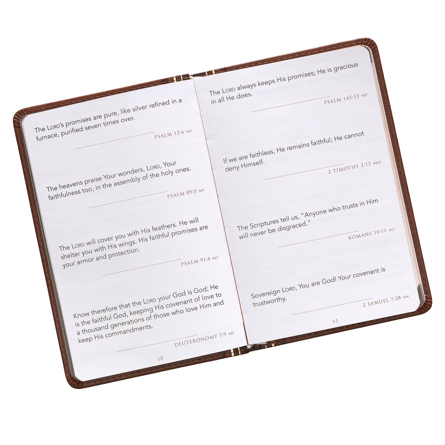 Promises From God for Every Man- Devotional
