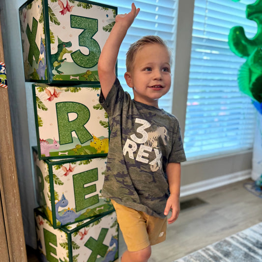 3 Rex- Dinosaur children's tee shirt - Summit and Nest