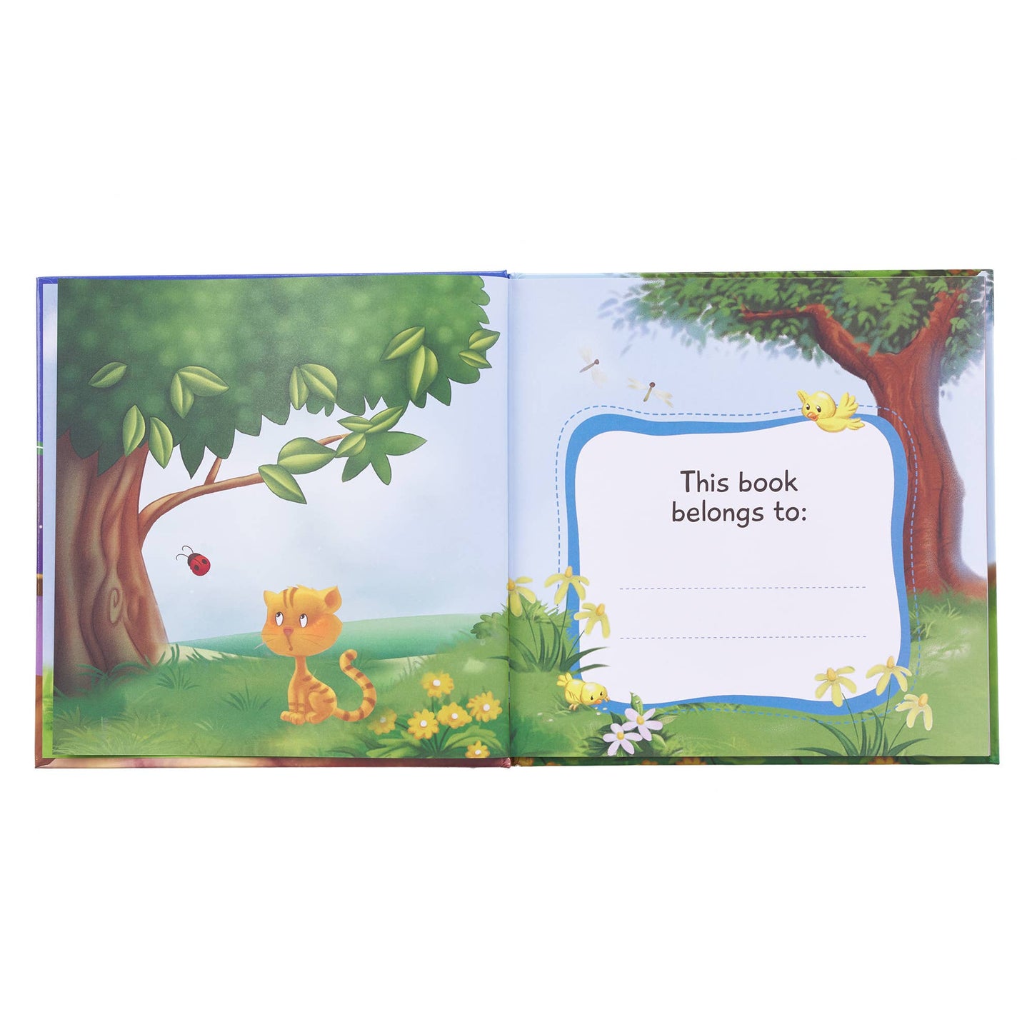 God Hears When You Pray- Hardcover Book