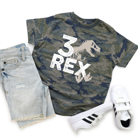 3 Rex- Dinosaur children's tee shirt - Summit and Nest