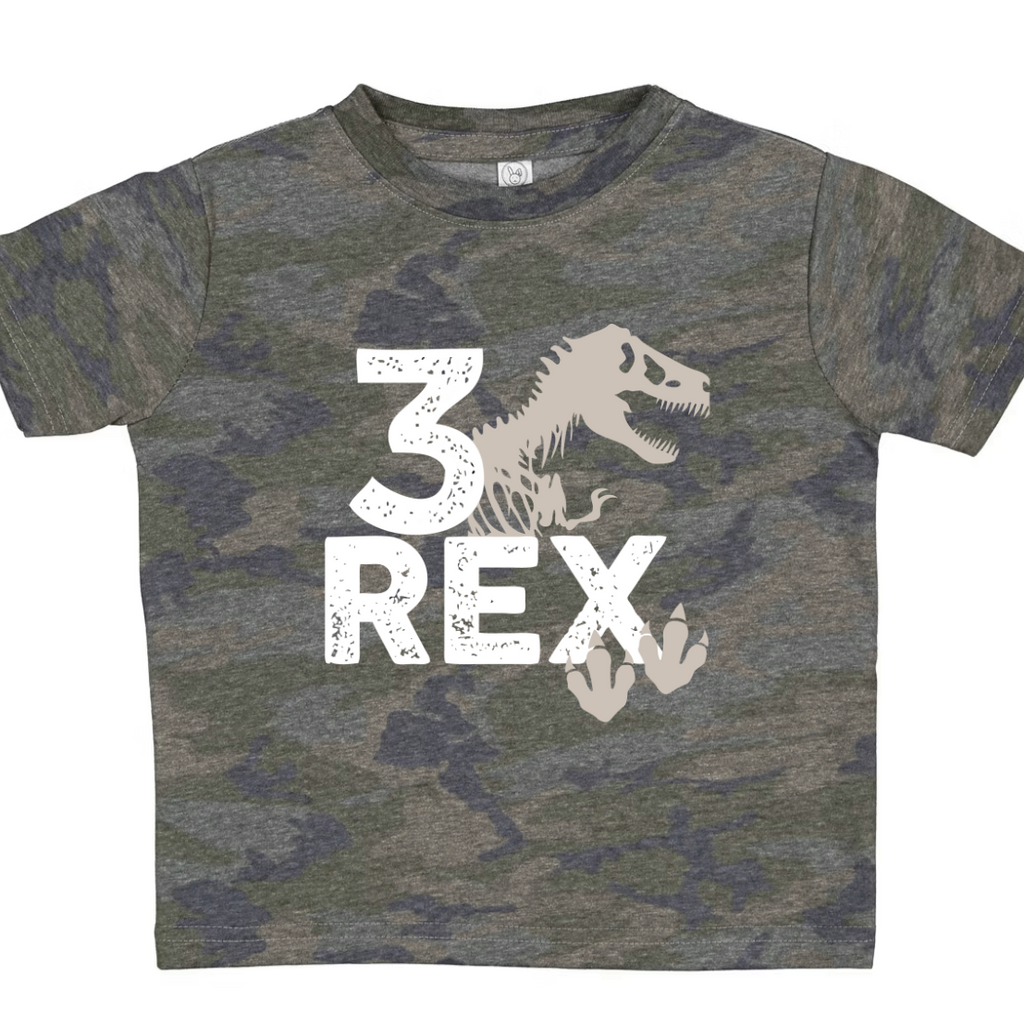 3 Rex- Dinosaur children's tee shirt - Summit and Nest