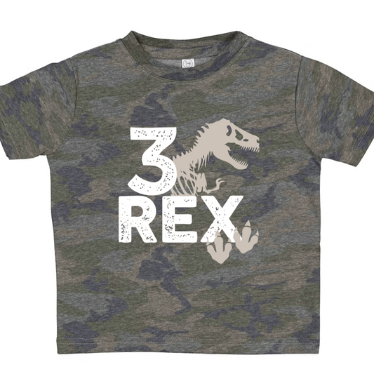 3 Rex- Dinosaur children's tee shirt - Summit and Nest