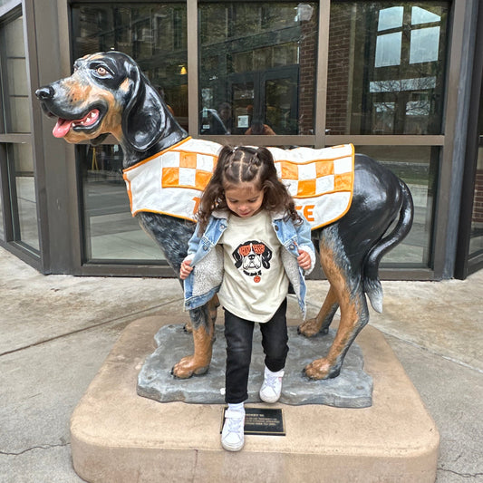 TN Smokey- Children's shirt and infant bodysuit - Summit and Nest