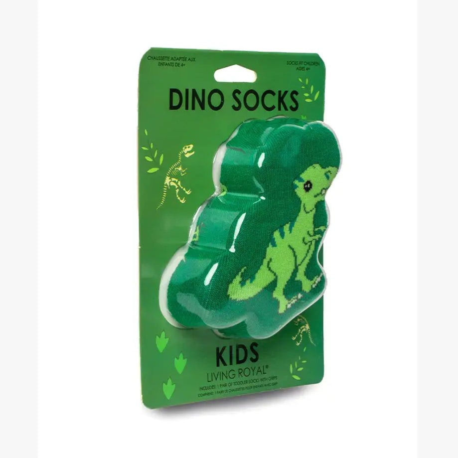 3D Packaged Kids Crew Socks- Dinosaur "Rawr" - Summit and Nest