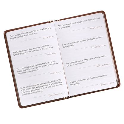 Promises From God for Every Man- Devotional - Summit and Nest