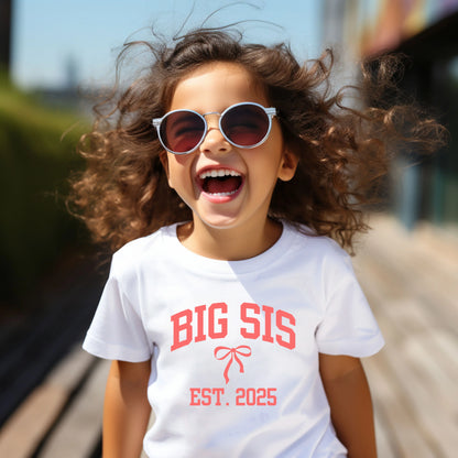 Big and Lil Sis- Customized- Girl's tee and infant bodysuit - Summit and Nest