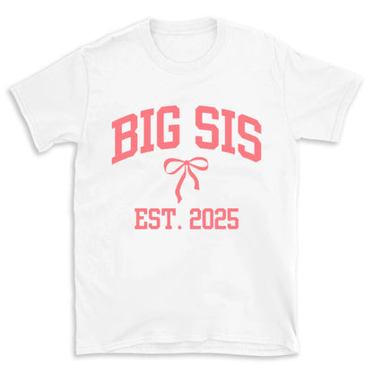 Big and Lil Sis- Customized- Girl's tee and infant bodysuit - Summit and Nest