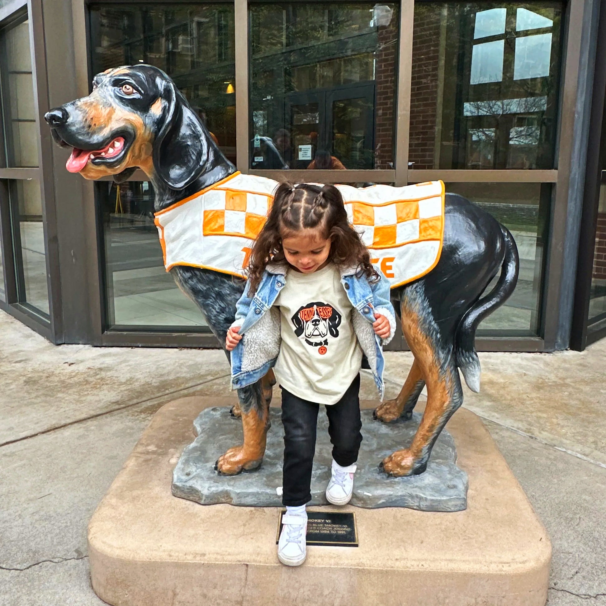 Tennessee Smokey- Children's shirt and infant bodysuit - Summit and Nest