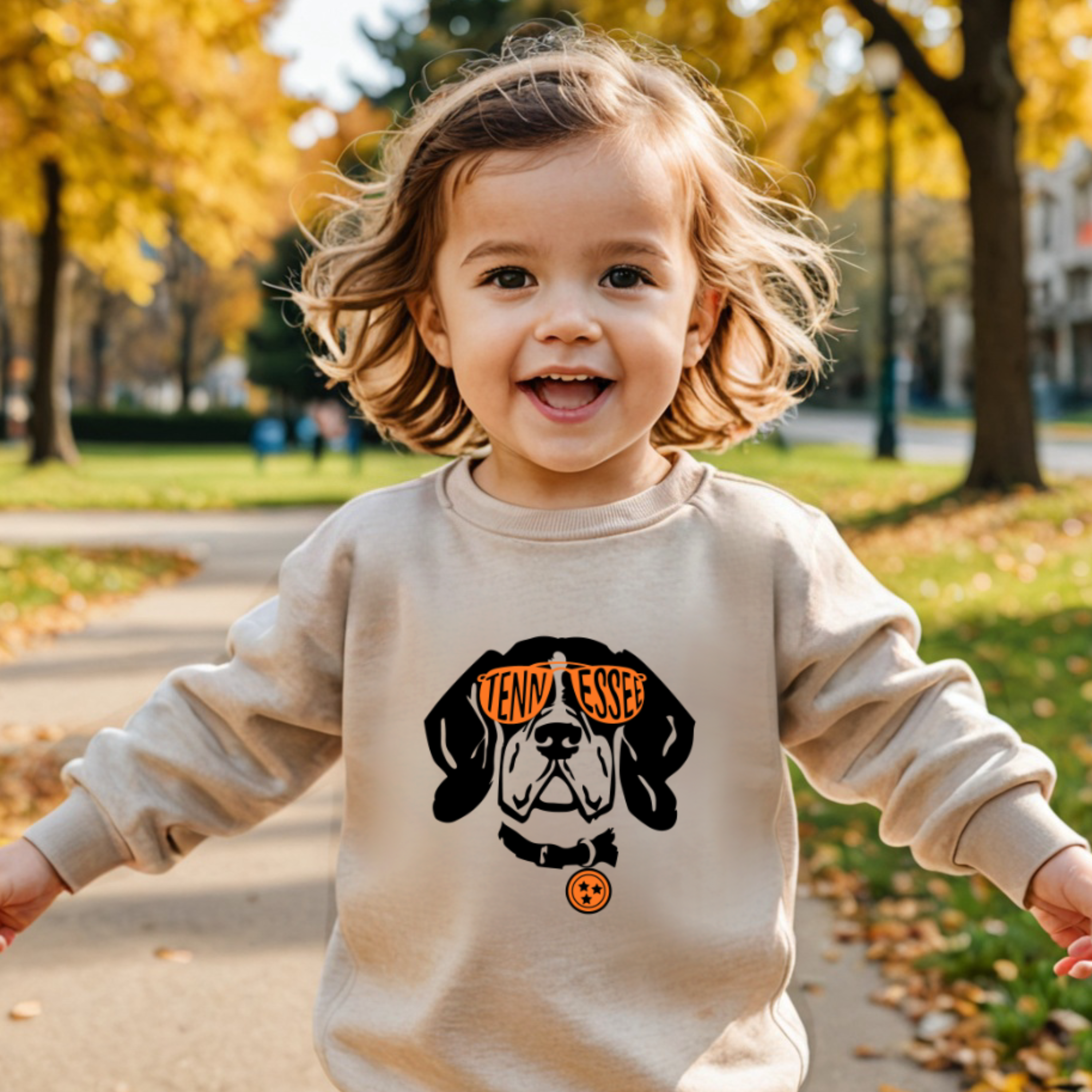 TN Smokey sweatshirt- Organic cotton infant and toddler sweatshirt - Summit and Nest