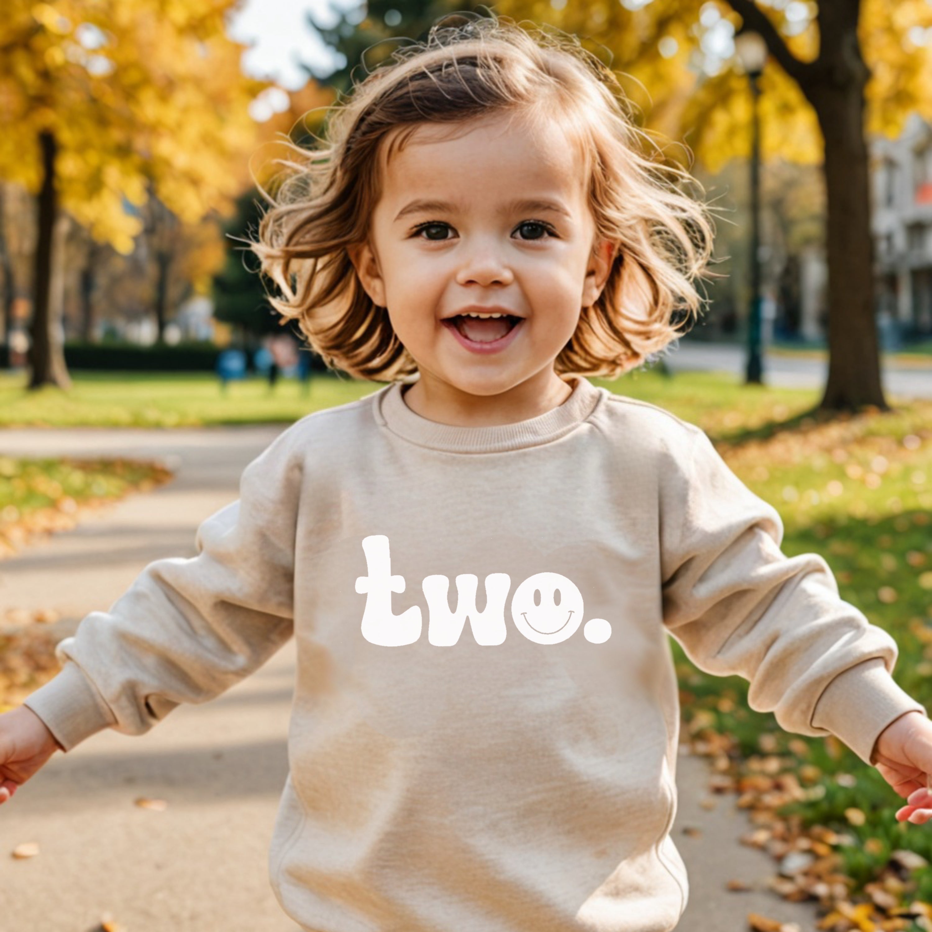 Two. Second birthday- Organic cotton toddler sweatshirt - Summit and Nest