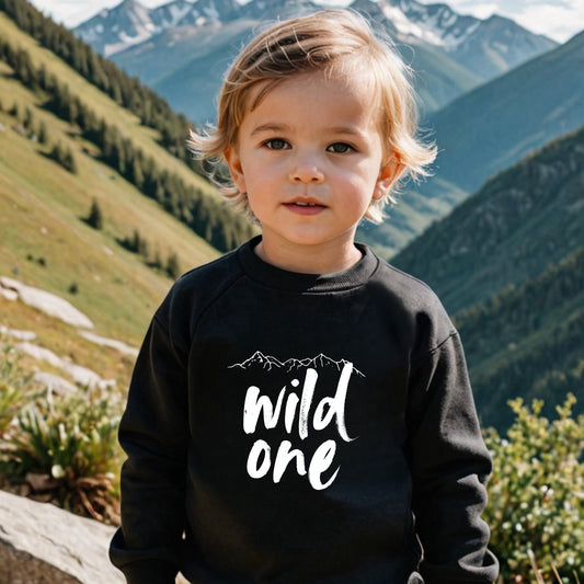 Wild one- Organic cotton infant and toddler sweatshirt - Summit and Nest