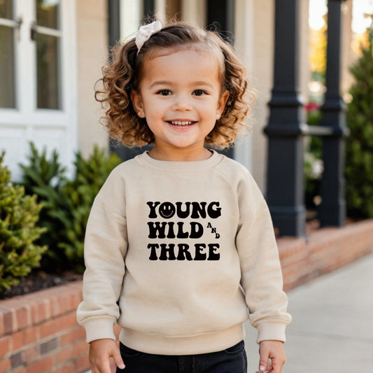Young, wild, and three- Organic cotton toddler sweatshirt - Summit and Nest